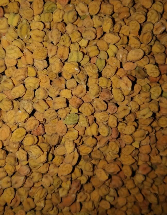 Horse Gram Whole